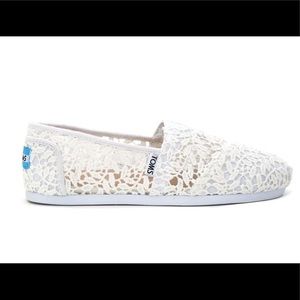 Cream lace Toms-hard to find!